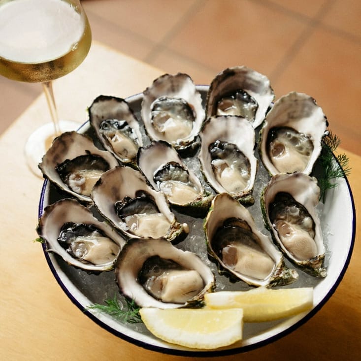 Fresh oyster platters Brisbane